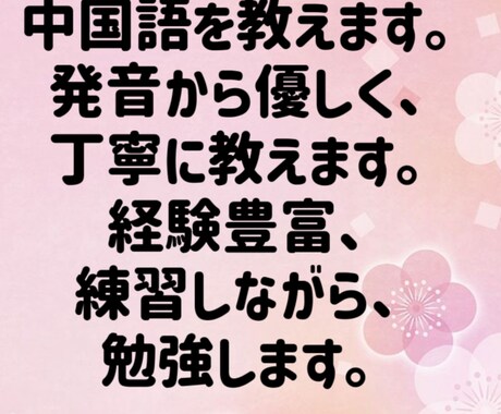 初心者向けの中国語会話を教えます 発音から、優しく丁寧に教えてます。 イメージ1