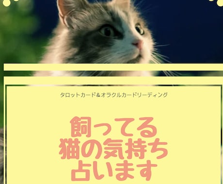 飼ってる猫ちゃんの気持ち占います 愛猫の気持ち知りたくありませんか？ イメージ1