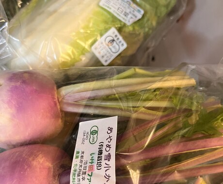 料理とスイーツをオンラインレッスン します プラントベースの、料理やスイーツを一緒に作りましょう！ イメージ2