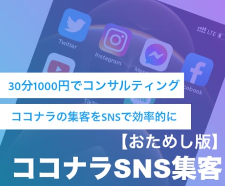 SNSを使ったココナラの集客方法を教えます InstagramやTwitterを使って効率良く案件受注！ イメージ1