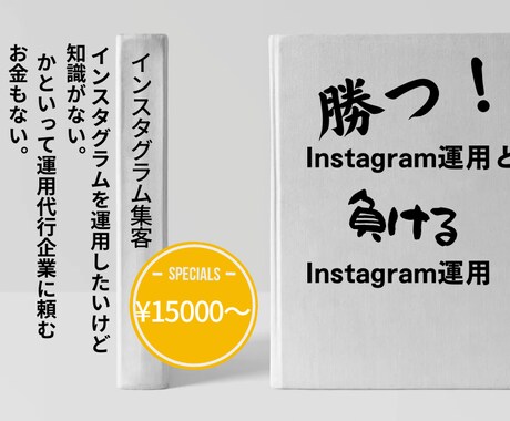 あなたのInstagramを運用します “低コスト”でInstagramの運用代行をご希望の方へ イメージ1