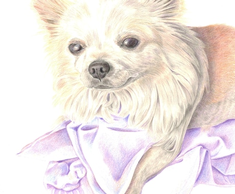 色鉛筆で、写真からリアルな動物イラストを描きます ペット似顔絵に！リアル色鉛筆スケッチ画。商用利用・原画郵送可 イメージ1
