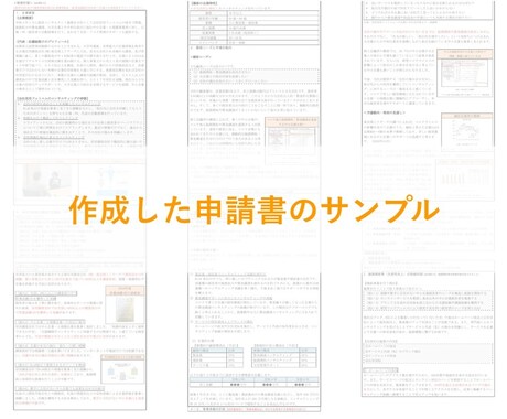 小規模事業者持続化補助金の事業計画書を作成します 【採択実績多数】計画の良さが伝わる様式2の作成を支援します イメージ2