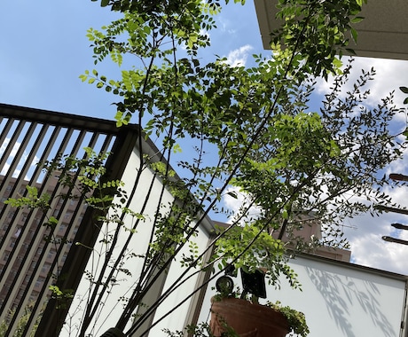 ご相談ください。必ず解決のヒントを差し上げます 視点を変えるとあなた自身の解決力が見えてきます。 イメージ1