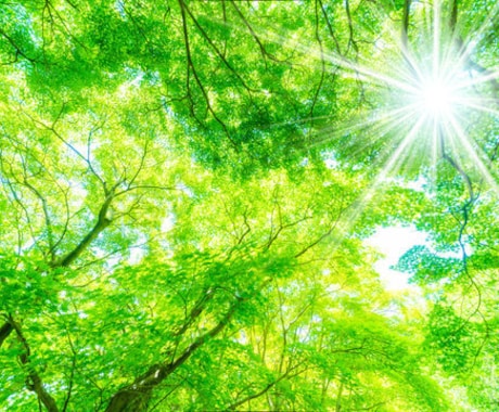 ヒーリング・波動調整いたします 心身のバランスを整え、本来の自分へ戻るための遠隔ヒーリング イメージ2