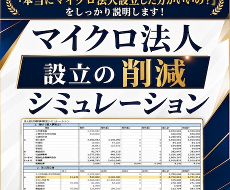 マイクロ法人設立の削減シミュレーションをします マイクロ法人専門税理士が国保・年金・税金の削減額を試算 イメージ1