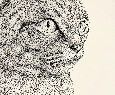 大切なペットの似顔絵を描きますます ボールペン画で家族の思い出残します。 イメージ2