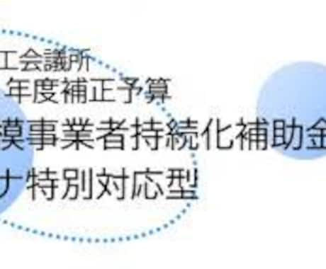 小規模事業者「持続化補助金」資料作成の支援をします 【コロナ特別対応型】に特化したサポート！！ イメージ1
