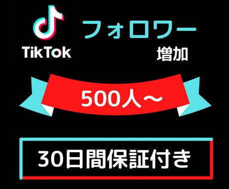 TikTokフォロワー500人〜増やします 【10人限定特典+保証あり】500〜10000人対応 イメージ1