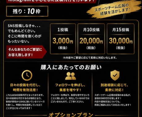 放置しがちなSNS、格安で動かします イメージ1