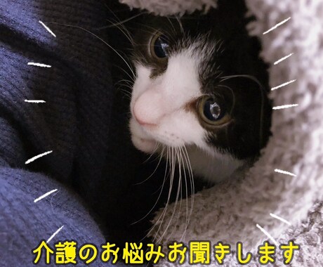 ケアマネが介護のお悩みを聞きます 在宅介護や家族介護の不安を安心してご相談ください イメージ1