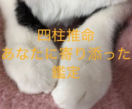 あなたの人間関係のお悩みスムーズな方向へ導きます 友人や上司、部下、家族などへの相性や接し方を鑑定します イメージ1