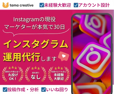 現役マーケターが本気で30日インスタ運用代行します 今だけモニター価格！"画像制作"から"全部おまかせ"まで！ イメージ1