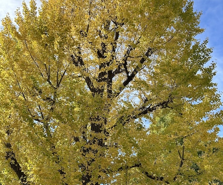 とにかく愚痴りたい！あなた以外回覧禁止します 女性専用、男性の僕に愚痴ってここでスッキリして行って下さい イメージ2