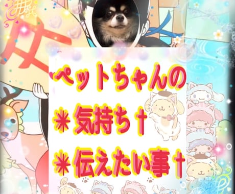 保護活から✴︎学んだペット霊視お気持ち拝見します 保護活から得たペットそれぞれの気持ちをお伝えします†✴︎ イメージ1