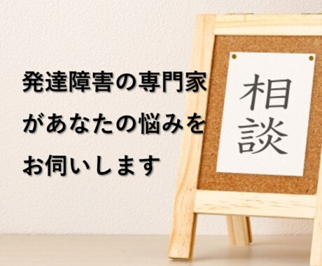 現役専門家が発達障害に関する相談をお受けいたします ／グレーゾーン、未診断でもOK イメージ1
