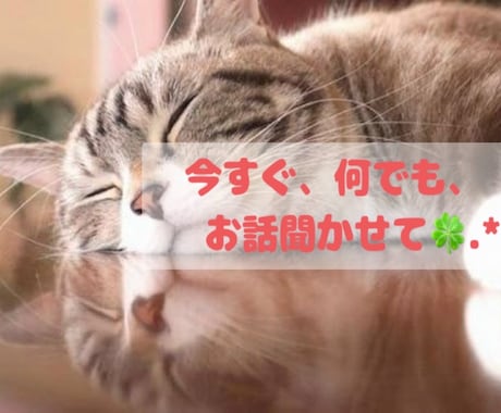 あなたのお気持ち、寄り添って聞かせていただきます ちょこっとだけもOK✩.*˚お待ちしてます‎|•'-'•)و イメージ1