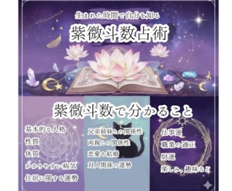 紫微斗数で運勢判断致します ご自身、お子様の特性、適した職業等を知りたい方へ イメージ1