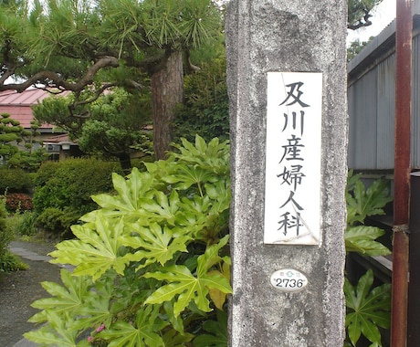 昭和レトロ　の監修・図録執筆・時代考証をします ネット（wiki）だけでは探れない、文献調査でレファレンス！ イメージ2