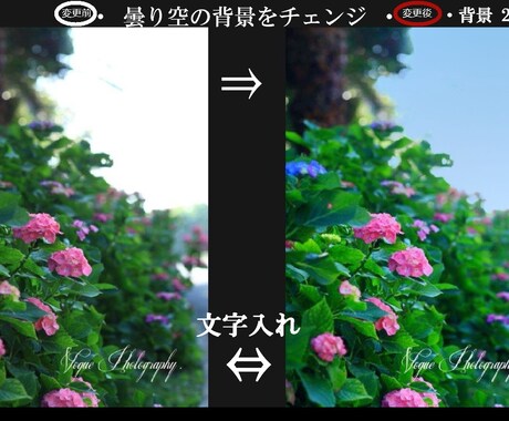 写真画像などに文字入れ他、編集加工をさせて頂きます 世界に1枚しかない!特別な名刺' ポストカード'を作成します イメージ1