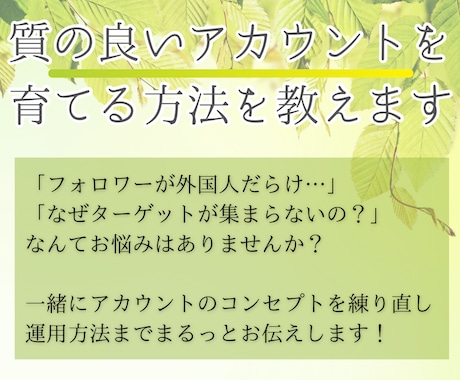 質の良いアカウントを育てる方法教えます 知らないで運用している人が9割！本当の運用方法はコレ！ イメージ1