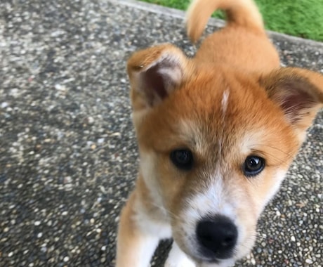 子育ての悩み、心の悩みある方相談のります 一緒にゆったり話して心を軽くしませんか？ イメージ1