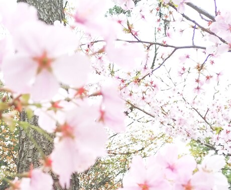 就活、転職のお悩み、好転させる後押しします クリスタルAngelガイドで幸せな方向へ進む後押し！ イメージ2