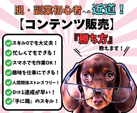 スキル0の初心者でも手堅く稼ぐスキマ副業教えます 初心者やったもん勝ち秘密ノウハウを動画&PDFで徹底解説！ イメージ1