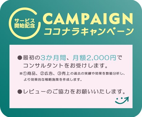 売上UP！マーケティング・分析・戦略立案をします 【楽天・AMAZON】売上・利益UP戦略【ベーシックプラン】 イメージ2