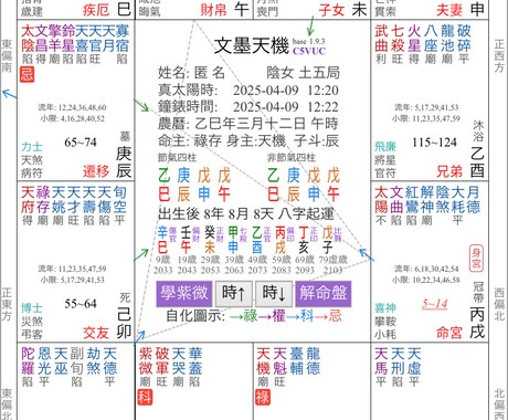 電話占い【紫微斗数】お話し相手＋占い鑑定します あなたの心に寄り添い幸せへと導きます　紫微斗数 カード イメージ2