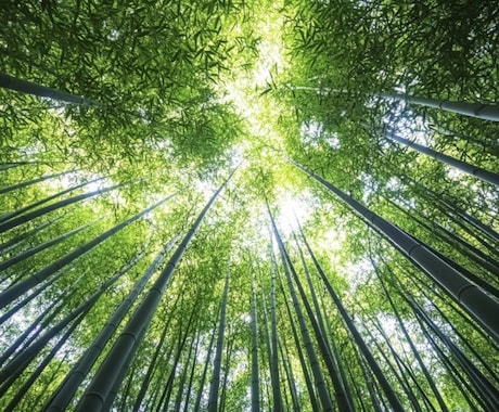 悪縁・家族・職場の悩み｜霊視で運命の道を見つけます 東西南北を司る四神の導きで、あなた本来の運命と縁を解放します イメージ2