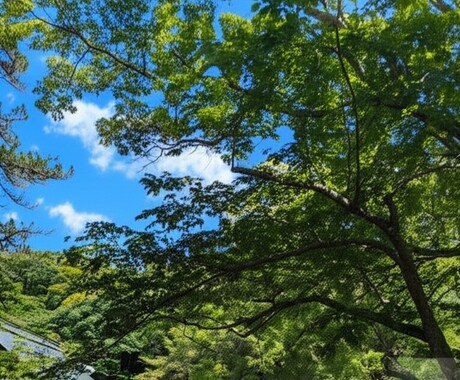 あなたの心に寄り添い、感情整理のお手伝いをします あなたのペースで大丈夫です♡お話をお聴かせください。 イメージ1