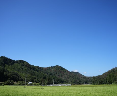 写真お届けします 注文に寄り添って対応させていただきます。 イメージ2