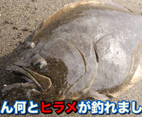 動画編集！カット編集！テロップ編集出来ます 動画編集カット及びテロップ入力出来ます！文字種類も多数 イメージ1