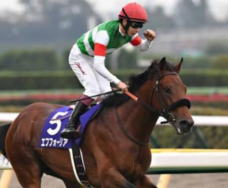 ダービー２頭出し１口馬主が推奨馬５頭を教えます 一口馬主で勝てる馬をキャロット・東サラの２クラブ限定で推奨！ イメージ1