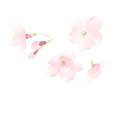 桜のイラストを描きます 想いが咲く、桜の一枚をお手元に イメージ2