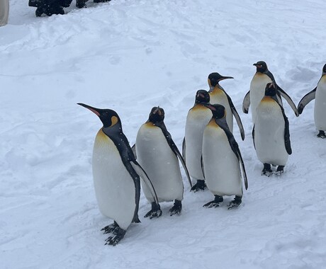絶対後悔しない！充実満喫！国内旅行の旅程を作ります 充実満喫した旅程を！日帰りから長期まで！ イメージ1
