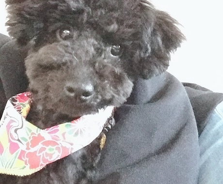 恋愛、子育て、結婚、離婚など相談に乗ります 色々経験してきてます！何かお役に立てたら嬉しいです！ イメージ1