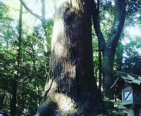 タロットカードであなたのお悩み解決します 誰にも打ち明けられないお悩みをお持ちのあなたへ イメージ1