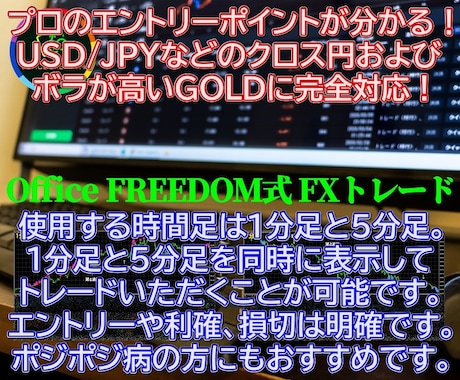 FX＆バイナリー★勝つためのノウハウを伝授します 6月14日まで特別価格✅️これであなたも勝ち組の仲間入りです イメージ2