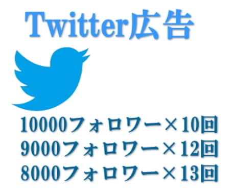 Twitter（1万）で広告ツイートいたします WEBサイト、ブログ、メルカリ出品物、ココナラサービスの宣伝 イメージ1