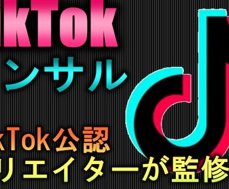 TiKTok公式厳選クリエイターがコンサルします 現役TikTokerがスポットでコンサルします イメージ1