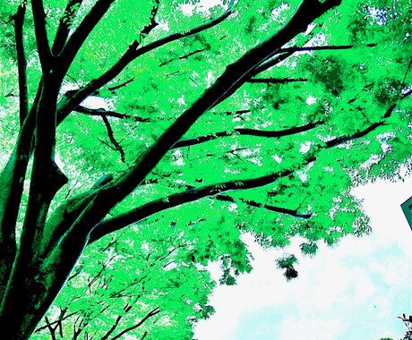 現実につかれた方へ。幻想的な写真作成します 写真なのにイラストに見える？ｉＰｈｏｎｅが写真の概念を再構築 イメージ2