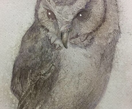 ペット・動物を透明水彩で描きます 透明水彩絵の具で特別な一枚をお描きします。 イメージ1