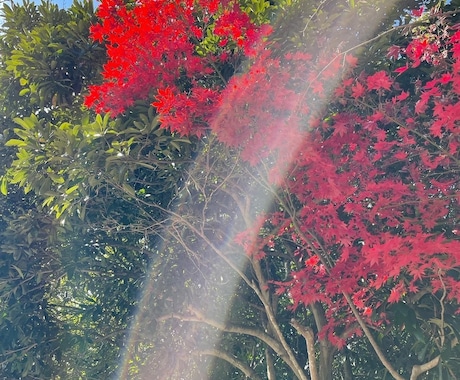 福岡県内にプロを派遣し、神社代理参拝いたします 遠方の方、プロに参拝をお願いしたい方に✨　神社代理参拝✨ イメージ2