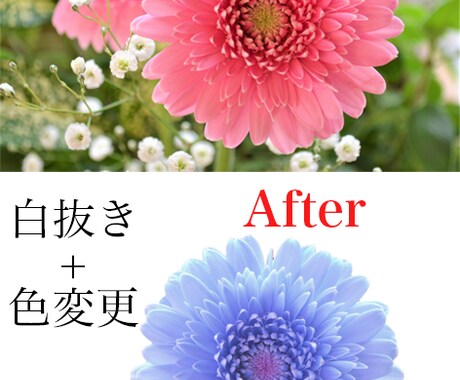 画像の背景透過、切り抜きします ～10枚まで1000円！即日対応可能◎ イメージ2