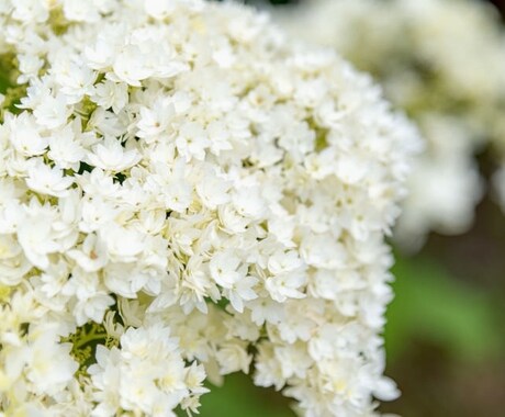 心豊かな日々へ⭐︎今 必要な3メッセージを贈ります キーポイント見つけて⭐︎あなたが あなたを大切にする日々⭐︎ イメージ1