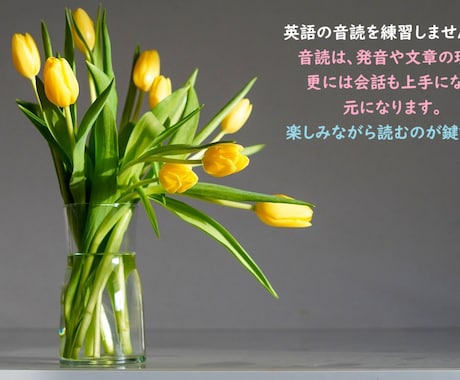 英語の音読練習にお付き合いいたします 英語の発音練習に音読は欠かせません！ イメージ1