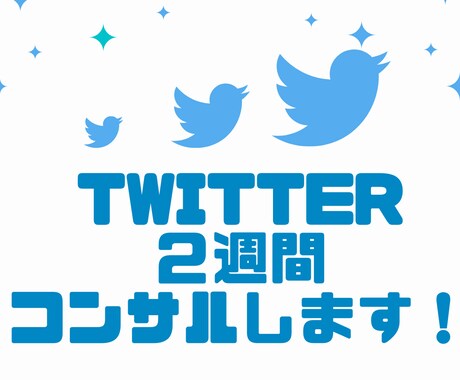 資産形成★Twitter２週間運用コンサルします ～難しいTwitter運用を１からお教えします～ イメージ1