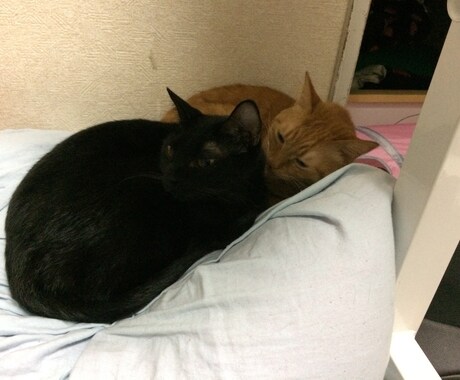 うつ病の方、悩み聴きます 病気を誰よりも理解しています。 イメージ1